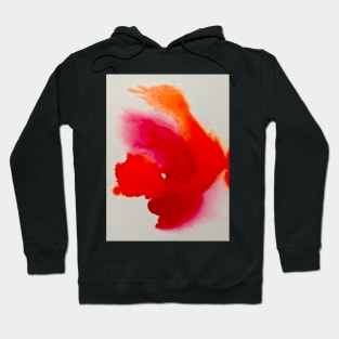 Emergence Hoodie